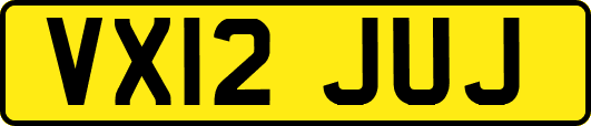 VX12JUJ
