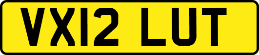 VX12LUT
