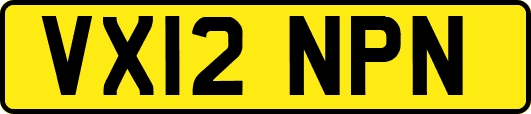 VX12NPN
