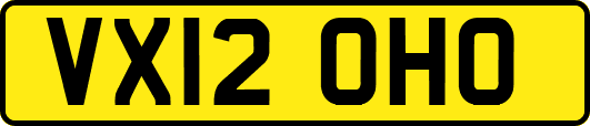 VX12OHO
