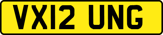 VX12UNG
