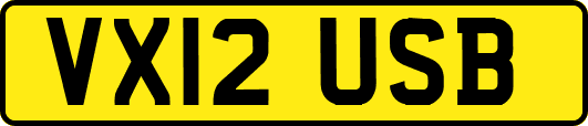 VX12USB