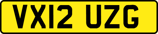 VX12UZG