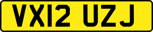 VX12UZJ