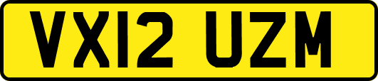 VX12UZM