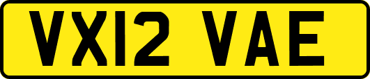 VX12VAE