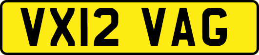 VX12VAG