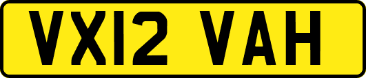 VX12VAH
