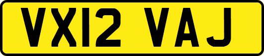 VX12VAJ