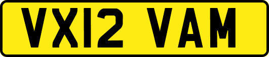VX12VAM