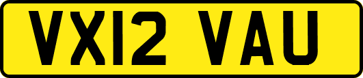 VX12VAU