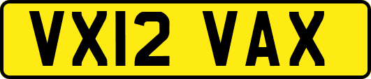 VX12VAX