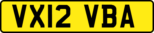 VX12VBA