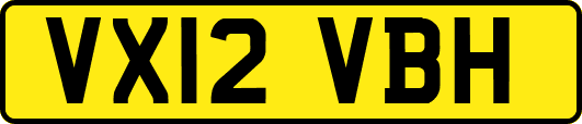 VX12VBH