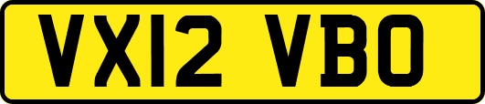 VX12VBO