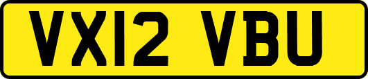 VX12VBU