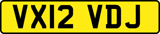 VX12VDJ