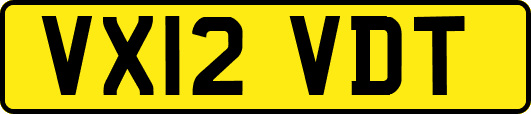 VX12VDT