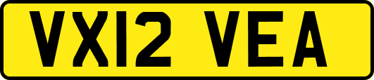VX12VEA