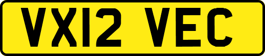 VX12VEC