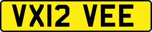 VX12VEE