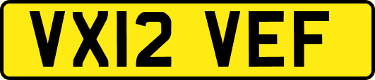 VX12VEF