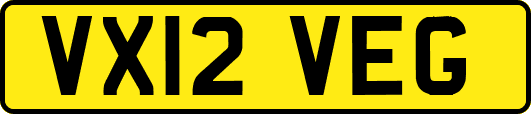 VX12VEG