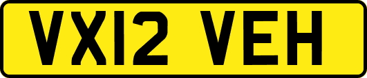 VX12VEH