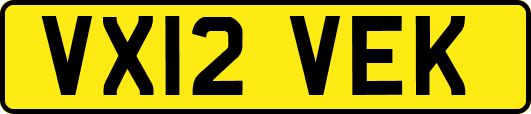 VX12VEK
