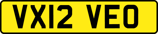 VX12VEO