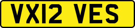 VX12VES