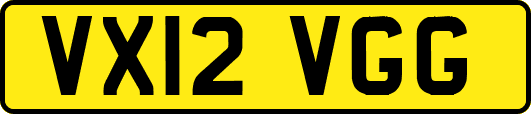 VX12VGG