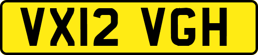 VX12VGH