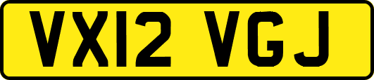 VX12VGJ