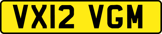 VX12VGM