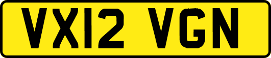 VX12VGN