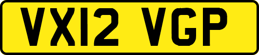 VX12VGP