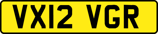 VX12VGR
