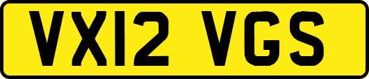 VX12VGS
