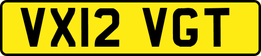 VX12VGT