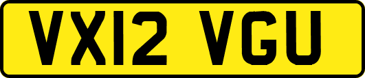 VX12VGU