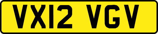 VX12VGV