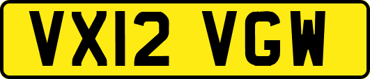 VX12VGW