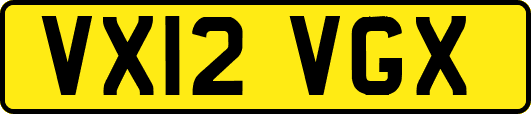 VX12VGX