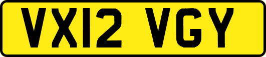 VX12VGY