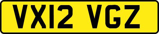 VX12VGZ