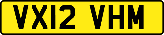 VX12VHM