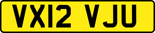 VX12VJU
