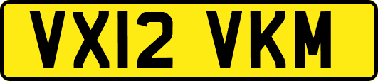 VX12VKM