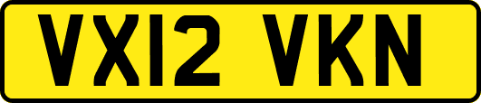 VX12VKN